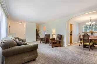 13123 Spica Dr in Lone Tree, CO - Building Photo - Building Photo
