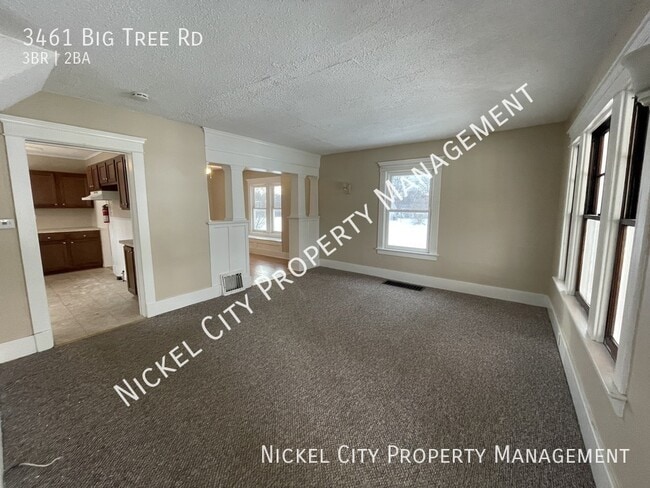 3461 Big Tree Rd in Hamburg, NY - Building Photo - Building Photo