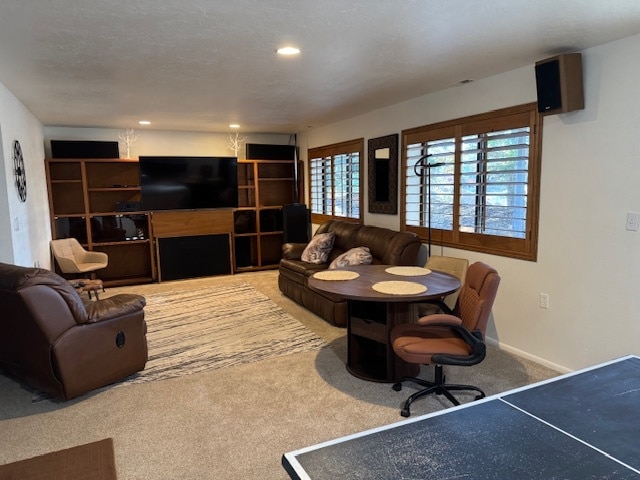 property at 6200 Snowview Dr