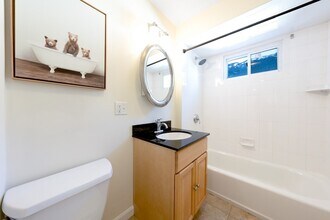 24 Wilton St, Unit 24 in Somerville, MA - Building Photo - Building Photo