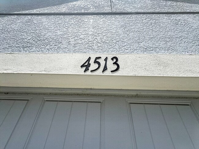 4513 Windy Hammock Way in Palmetto, FL - Building Photo - Building Photo