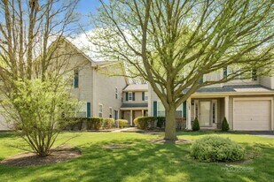 1291 Orleans Dr in Mundelein, IL - Building Photo