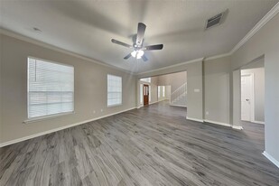 14303 Cypress Falls Dr in Cypress, TX - Foto de edificio - Building Photo