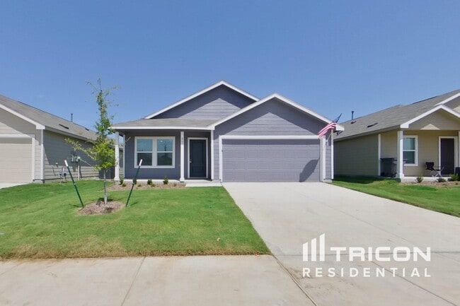 property at 807 Ginkgo Wy