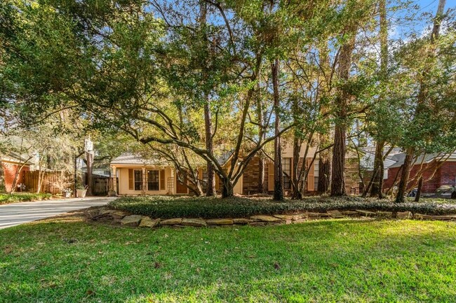 10 Cricket Hollow Pl in Spring, TX - Building Photo - Building Photo