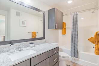 Pioneer Hill in Austin, TX - Foto de edificio - Interior Photo