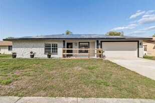 4009 Orangefield Pl in Valrico, FL - Building Photo