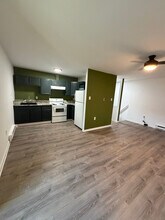 444 Bridge St, Unit e in Phoenixville, PA - Building Photo - Building Photo