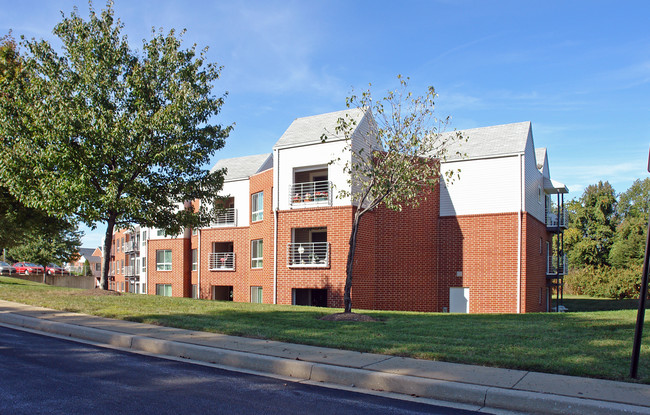 Golden Ring Co-Op Apartments in Essex, MD - Building Photo - Building Photo