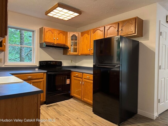 244 Pepacton Hollow Rd in Grahamsville, NY - Building Photo - Building Photo