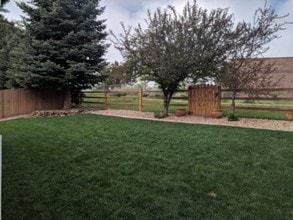 9153 Sagebrush Trail in Lone Tree, CO - Building Photo - Building Photo