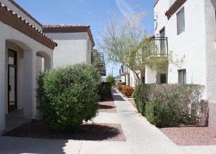 Cota Apartments in Thatcher, AZ - Building Photo - Building Photo