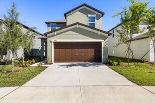 36403 Well Hill Wy in Zephyrhills, FL - Building Photo