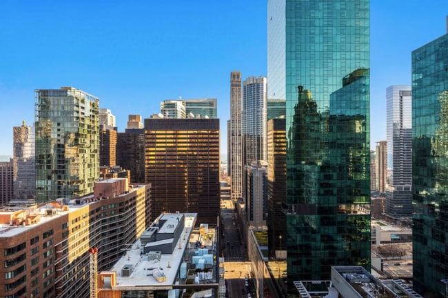 535 N Michigan Ave in Chicago, IL - Building Photo - Building Photo