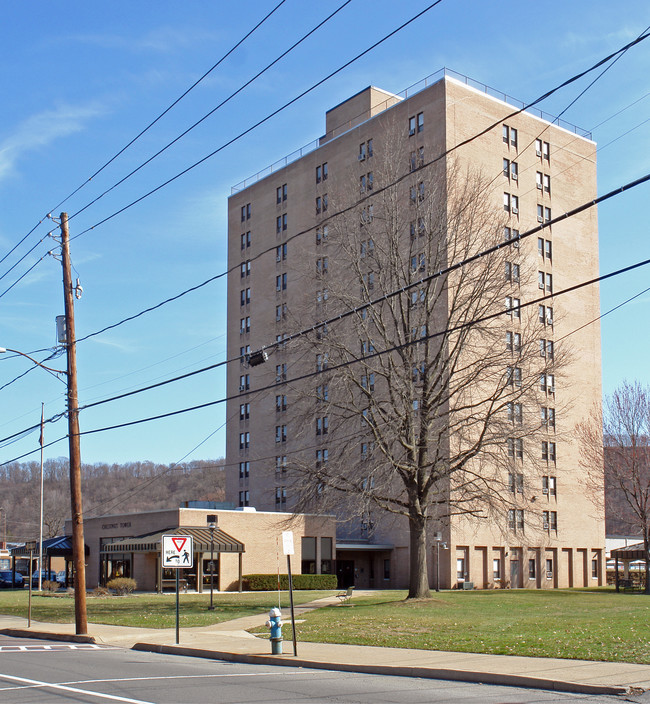 Chestnut Tower in Sunbury, PA - Foto de edificio - Building Photo