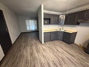 1102 Harmon St in Danville, IL - Building Photo - Building Photo