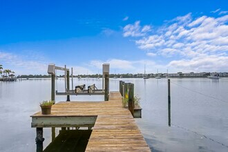 342 Ling A More Terrace S in St. Petersburg, FL - Building Photo - Building Photo