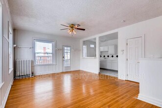 1376 N Pearl St in Denver, CO - Building Photo - Building Photo