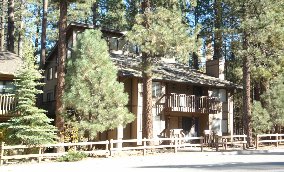 667 Summit Blvd in Big Bear Lake, CA - Building Photo