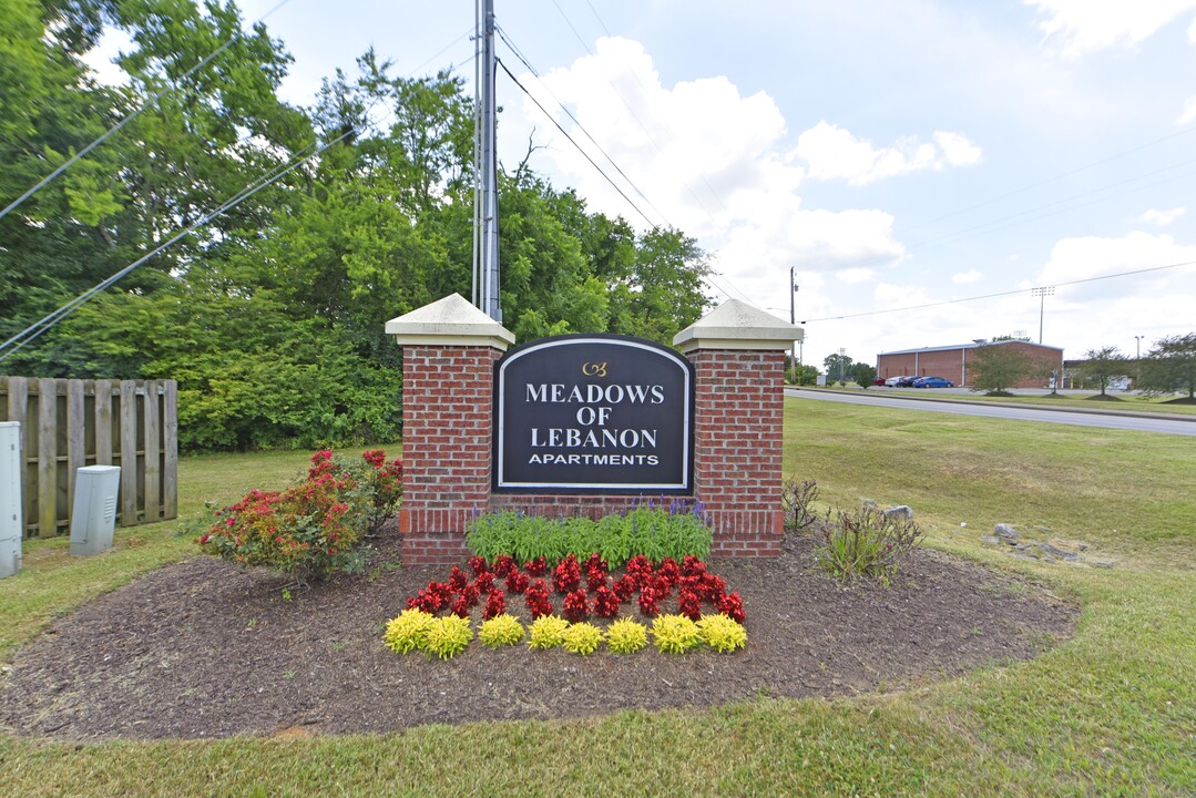 Meadows of Lebanon Apartments in Lebanon, TN - Building Photo