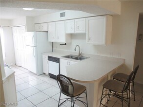 3951 Leeward Passage Ct in Bonita Springs, FL - Building Photo - Building Photo