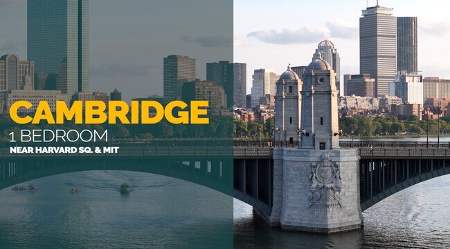 22 Hews St, Unit 2 in Cambridge, MA - Building Photo - Building Photo