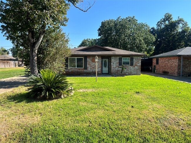 233 S Ohio Ave in La Porte, TX - Building Photo - Building Photo