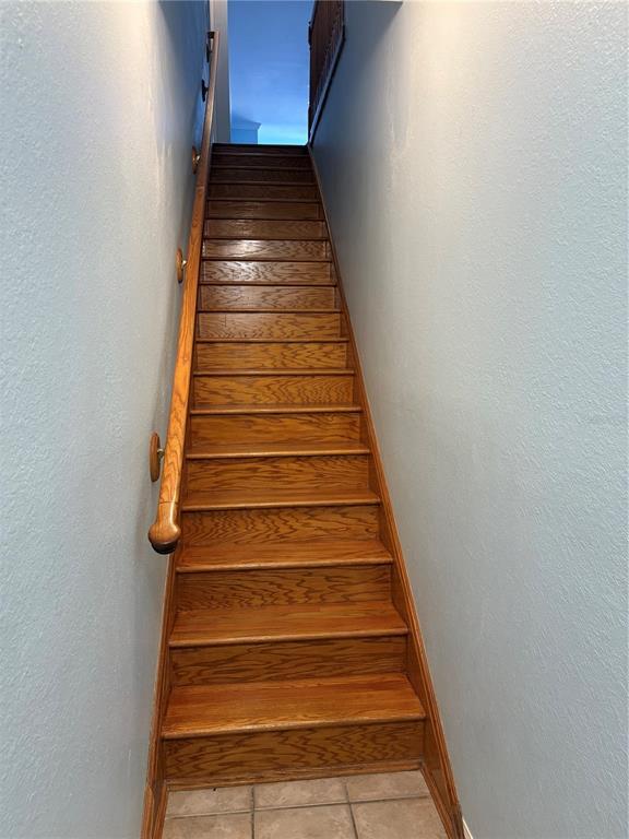 2272 Chianti Pl in Palm Harbor, FL - Building Photo - Building Photo