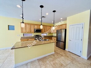 11678 N Red Creek Pl in Oro Valley, AZ - Building Photo - Building Photo