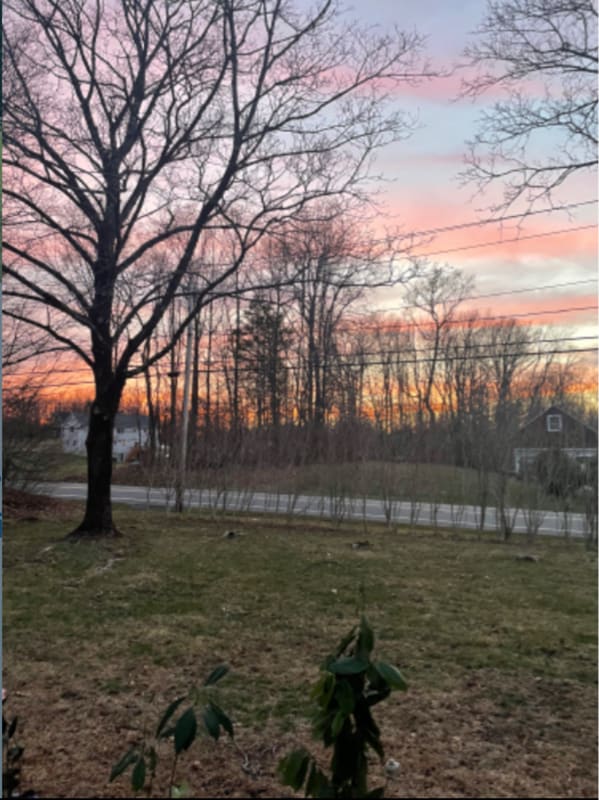 property at 288 Scotchtown Collabar Rd