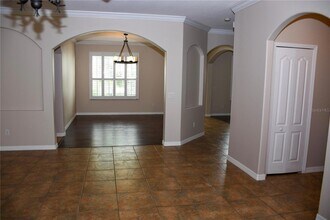 557 Palio Ct in Ocoee, FL - Building Photo - Building Photo