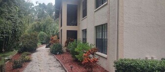 3323 Crystal Ct E in Palm Harbor, FL - Building Photo