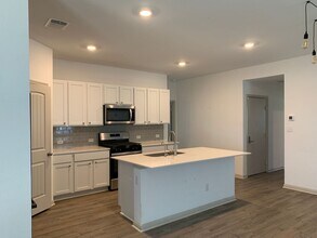 235 Sweetwater Crk Ln in Hutto, TX - Building Photo - Building Photo