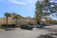 Washington Square Condos in Tampa, FL - Foto de edificio - Building Photo