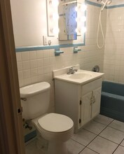 1117 Chestnut St, Unit 2 in Newton, MA - Building Photo - Building Photo