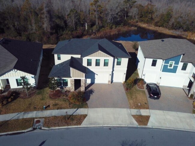 21397 Snowy Orchid Terrace in Land O Lakes, FL - Building Photo - Building Photo