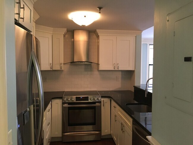 391 Commonwealth Ave, Unit 301