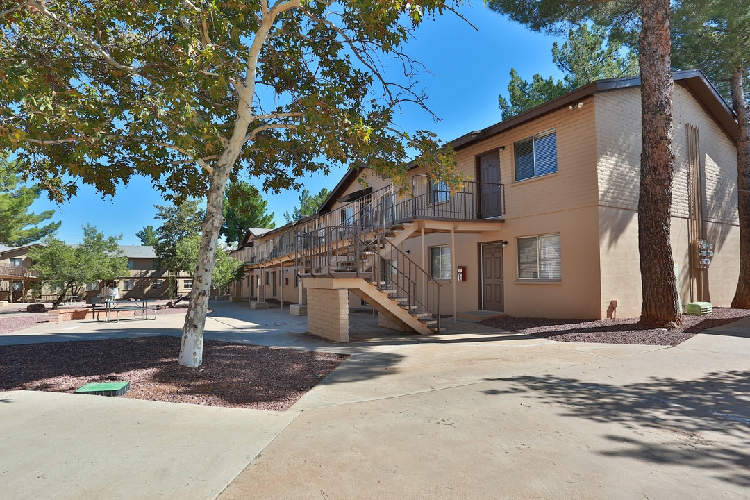 Canyon Vista Apartment Homes in Sierra Vista, AZ - Building Photo