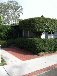 311 Marguerite Ave in Corona Del Mar, CA - Foto de edificio - Building Photo