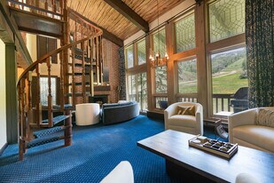 70 Gallun Ln in Snowmass Village, CO - Building Photo