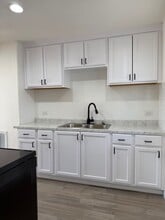 1005 N 3rd St in McAllen, TX - Building Photo - Building Photo