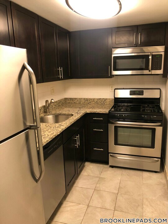 185 Freeman St in Brookline, MA - Building Photo