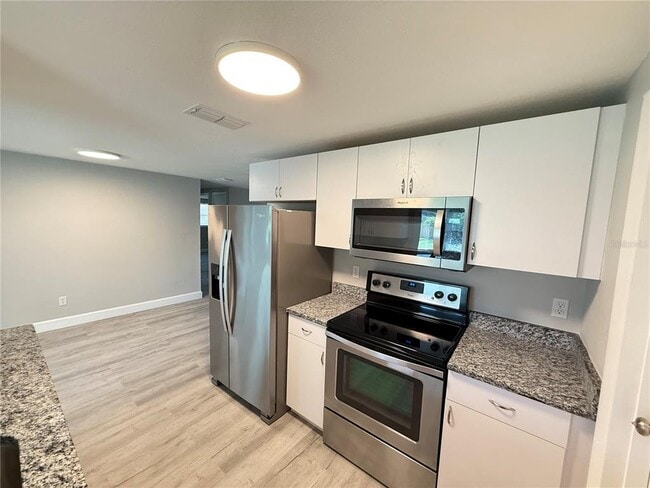 209 Washington Ave in Oldsmar, FL - Building Photo - Building Photo