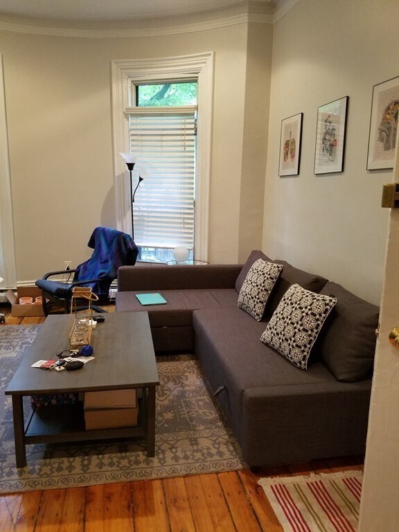 47 E Springfield St, Unit 1 in Boston, MA - Building Photo - Building Photo