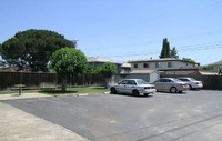 2242 Curtner Apartments in Campbell, CA - Building Photo - Building Photo