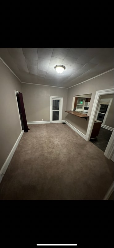145 Lafayette St in Ionia, MI - Building Photo - Building Photo
