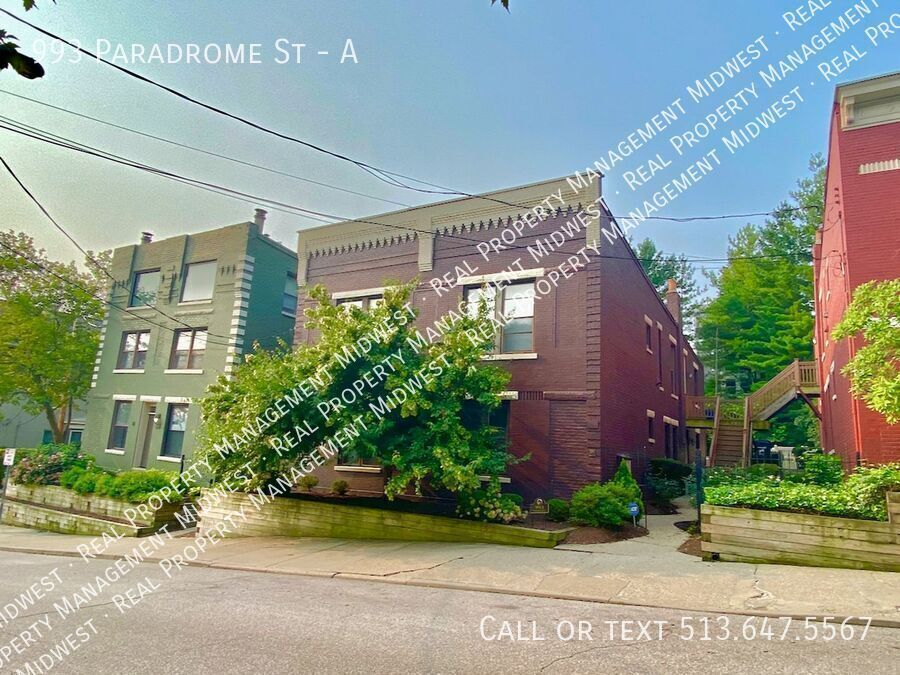 993 Paradrome St in Cincinnati, OH - Building Photo