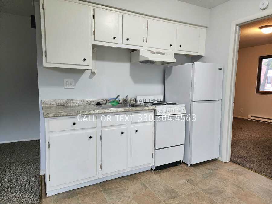 210 S Maple St in Akron, OH - Building Photo
