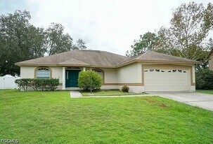 807 Bluegrass Ln in Brandon, FL - Building Photo