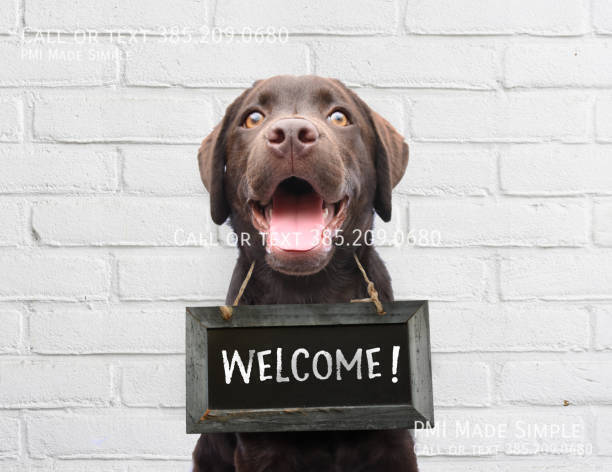 property at 755 E 950 S